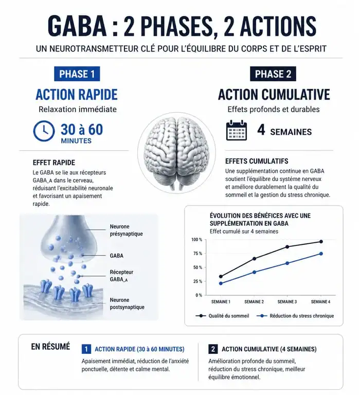 Infographie expliquant le délai d'effet du GABA sur le stress et le sommeil, montrant les phases immédiates et cumulatives.